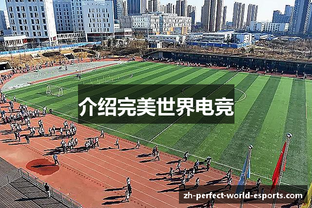 介绍完美世界电竞